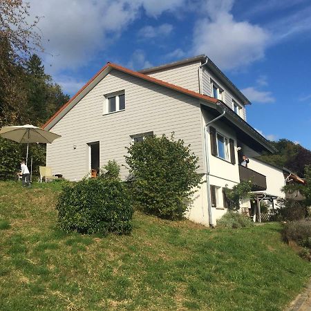 Vila Alpenpanorama Am Hochrhein Gailingen Exteriér fotografie
