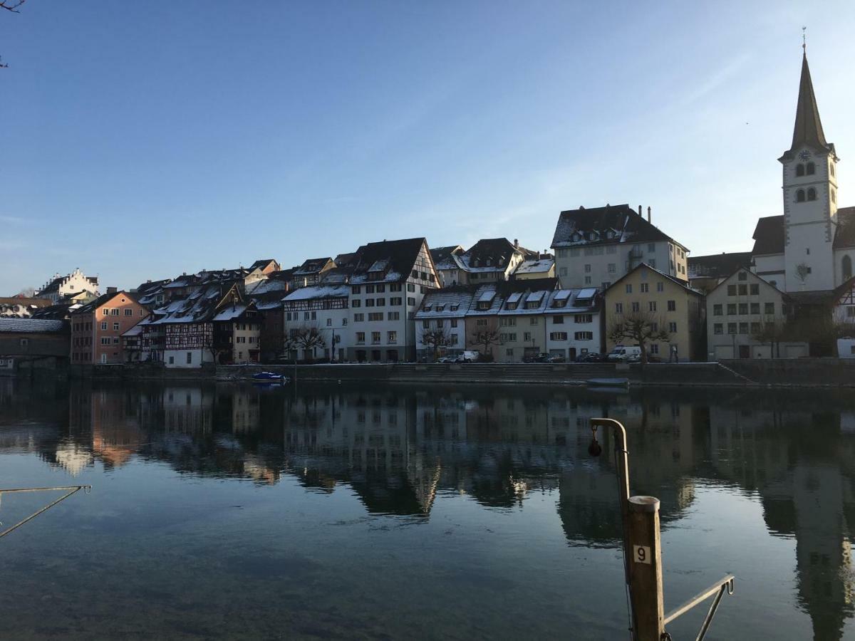 Vila Alpenpanorama Am Hochrhein Gailingen Exteriér fotografie