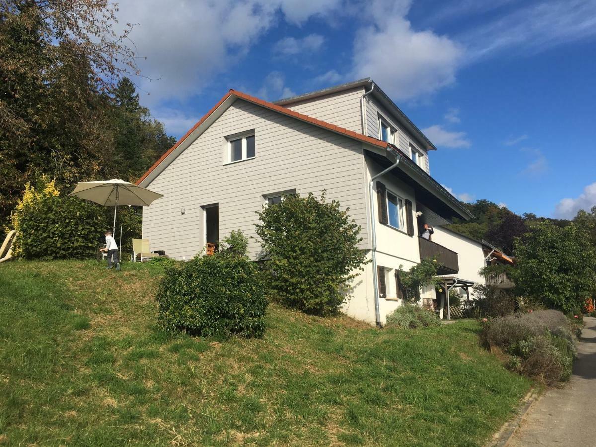 Vila Alpenpanorama Am Hochrhein Gailingen Exteriér fotografie