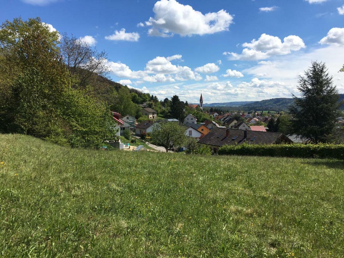 Vila Alpenpanorama Am Hochrhein Gailingen Exteriér fotografie