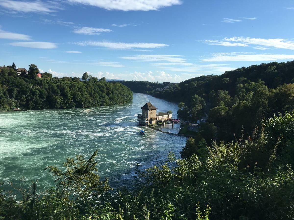 Vila Alpenpanorama Am Hochrhein Gailingen Exteriér fotografie