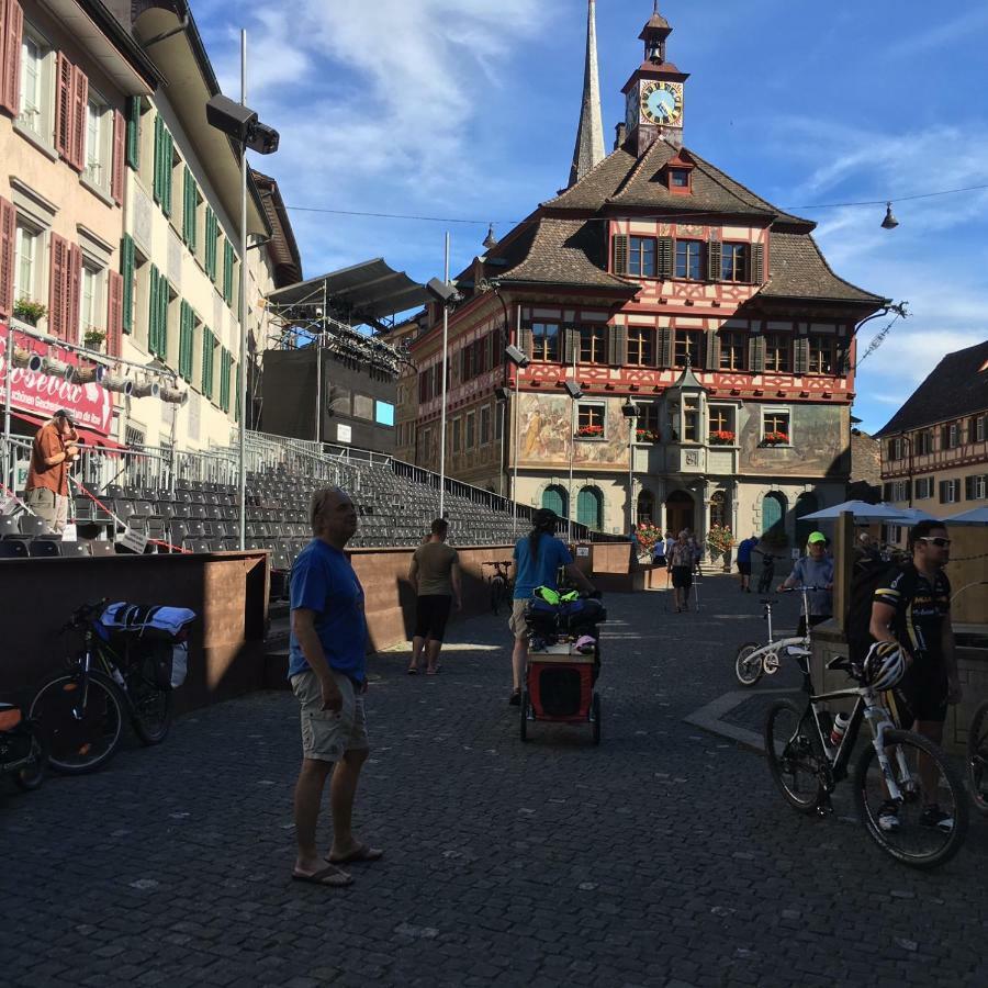 Vila Alpenpanorama Am Hochrhein Gailingen Exteriér fotografie