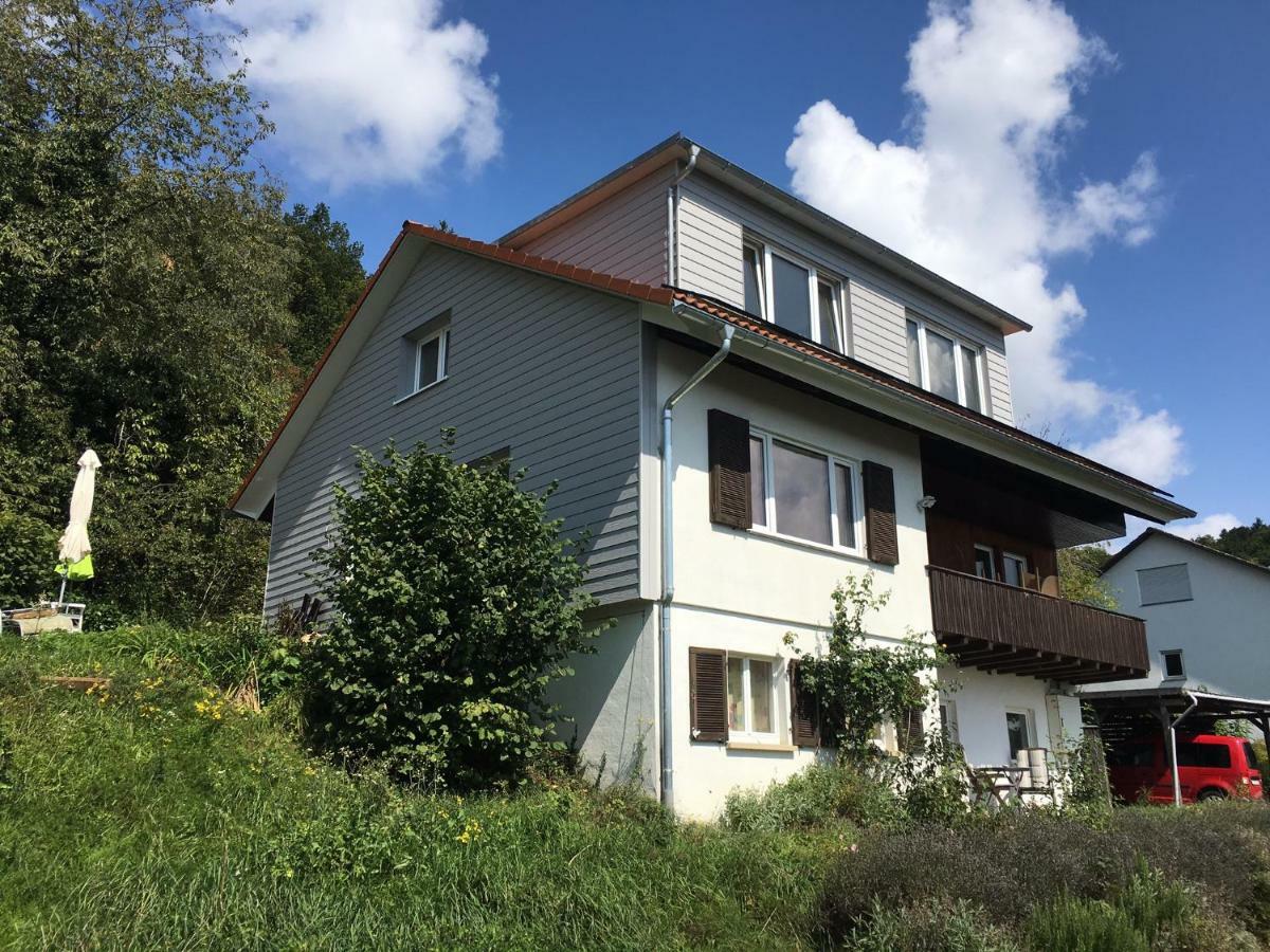 Vila Alpenpanorama Am Hochrhein Gailingen Exteriér fotografie
