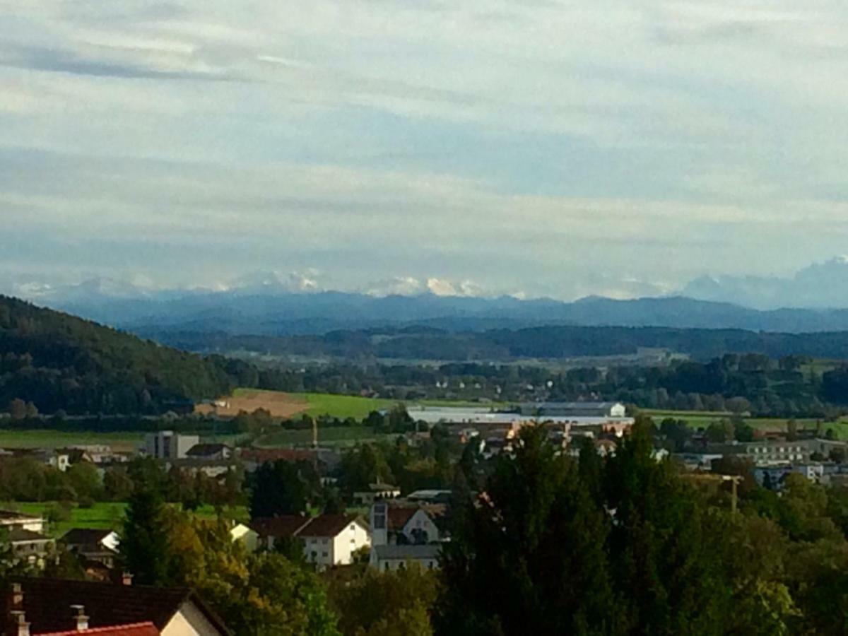 Vila Alpenpanorama Am Hochrhein Gailingen Exteriér fotografie